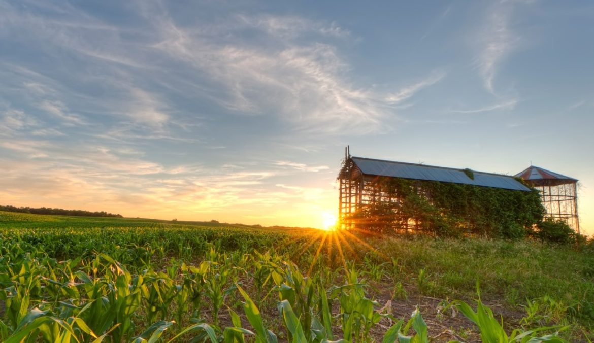 Texas Mineral Group Featured Pic house with sunsetting behind it