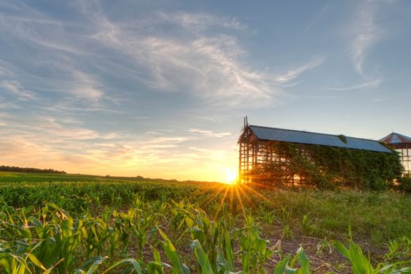 Texas Mineral Group Featured Pic house with sunsetting behind it